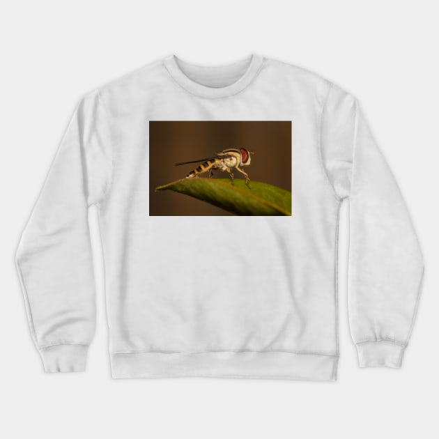 Perched Crewneck Sweatshirt by Geoff79